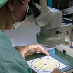 Gismo การตรวจสอบคุณภาพโคมไฟ LED ของบริษัท จีเนียส กิสโม