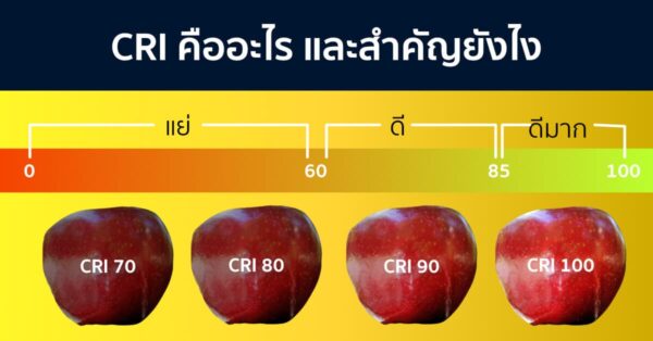 ค่าดัชนีความถูกต้องของสี Color rendering index - CRI ของแหล่งกำเนิดแสง